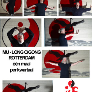 Workshop voor gevorderden