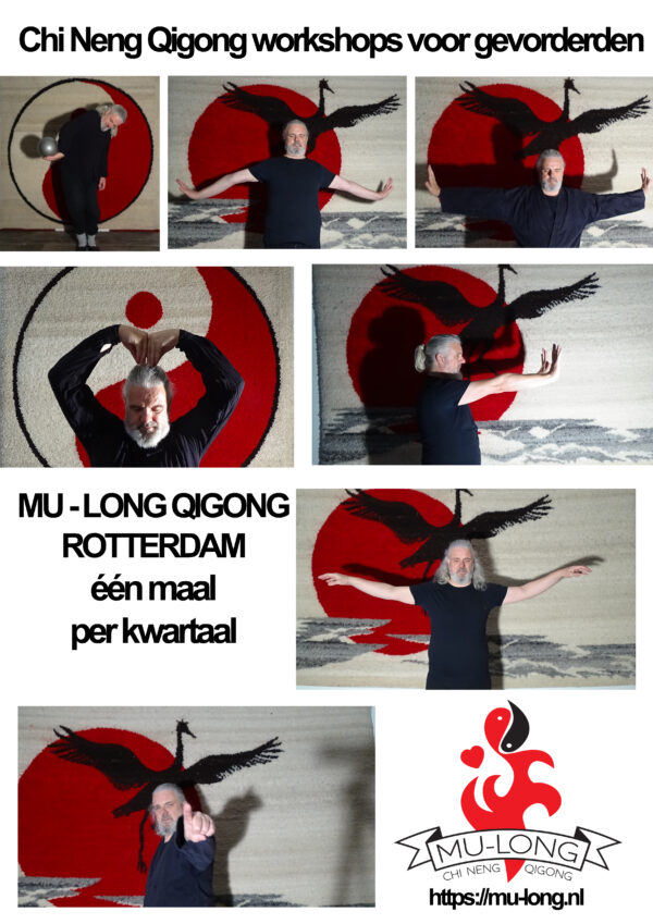 Workshop voor gevorderden