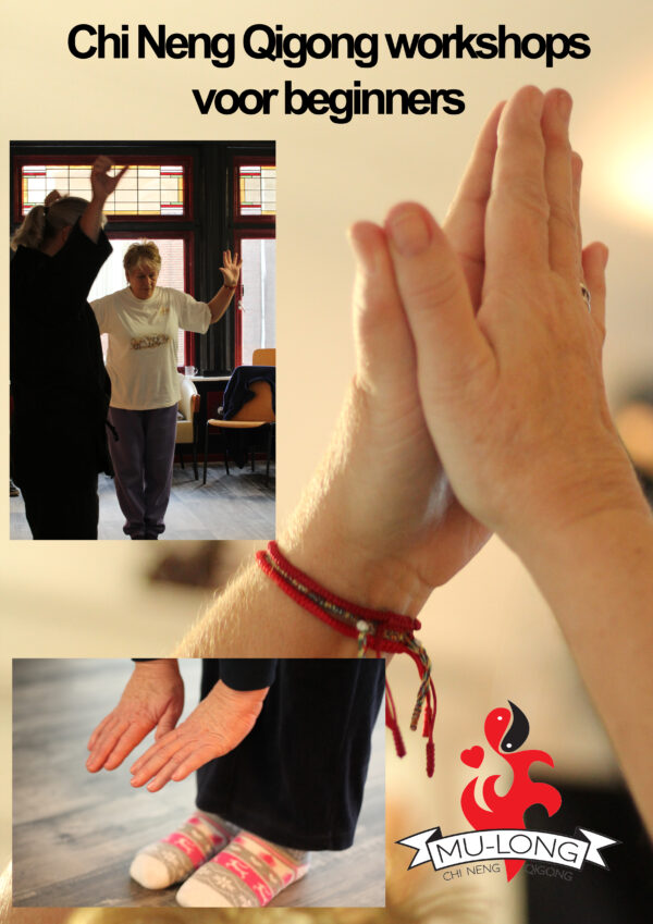 Chi Neng Qigong Workshop voor beginners